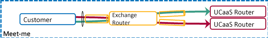 WAN-Cloud Exchange Access to UCaaS Provider