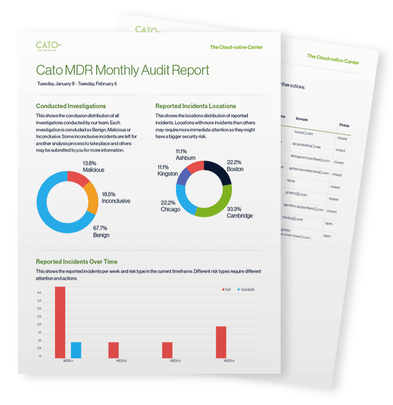 monthly audit report