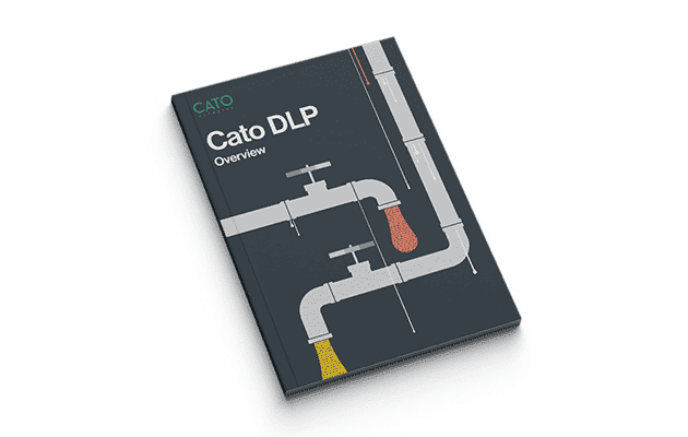 Protect Your Sensitive Data and Ensure Regulatory Compliance with Cato’s DLP