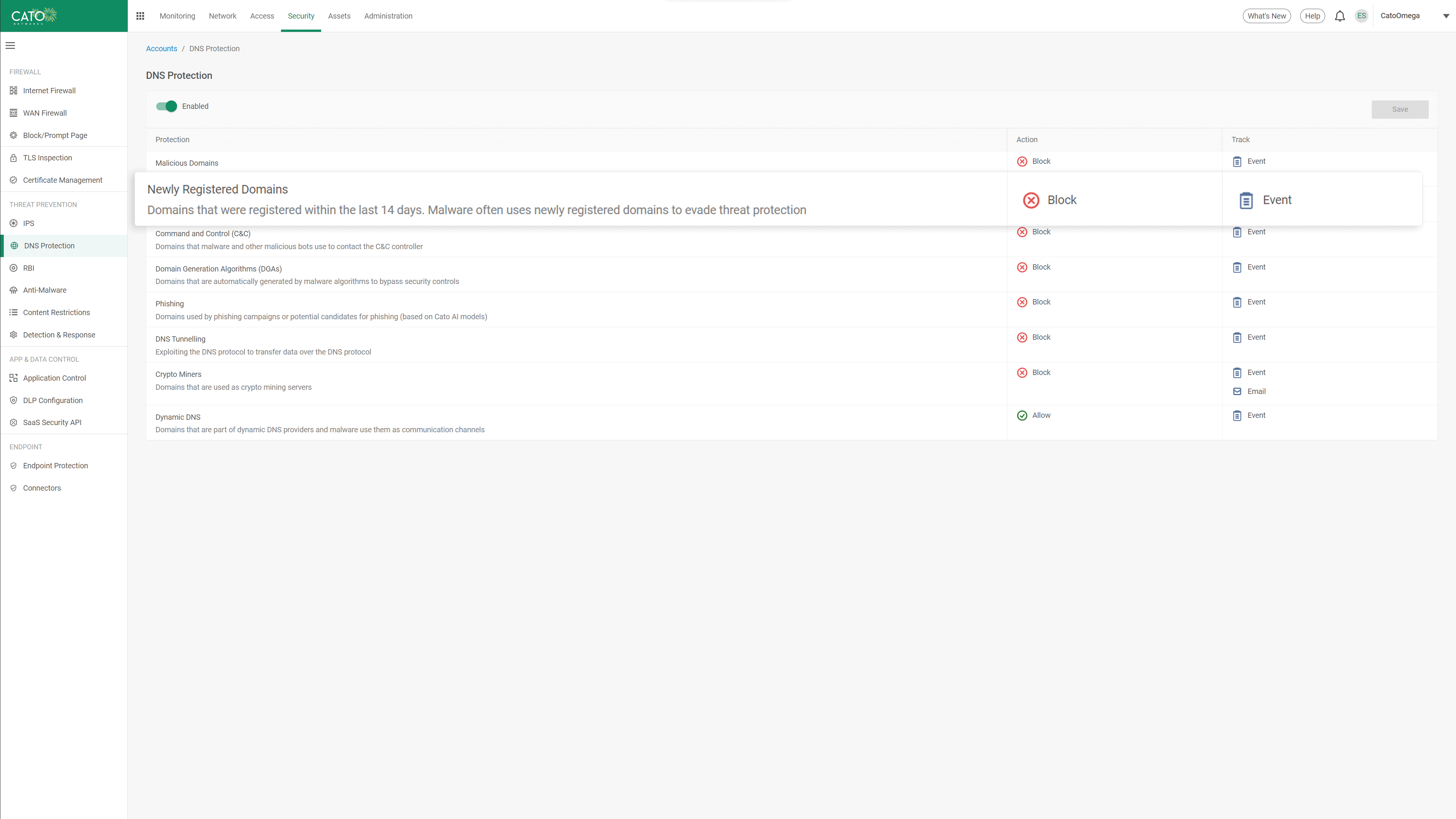 DNS Protection Configuration