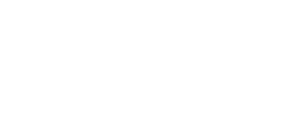 Chief Information Officer