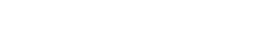 VP, Information Technology