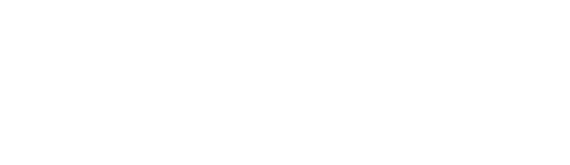 Chief Information Security Officer