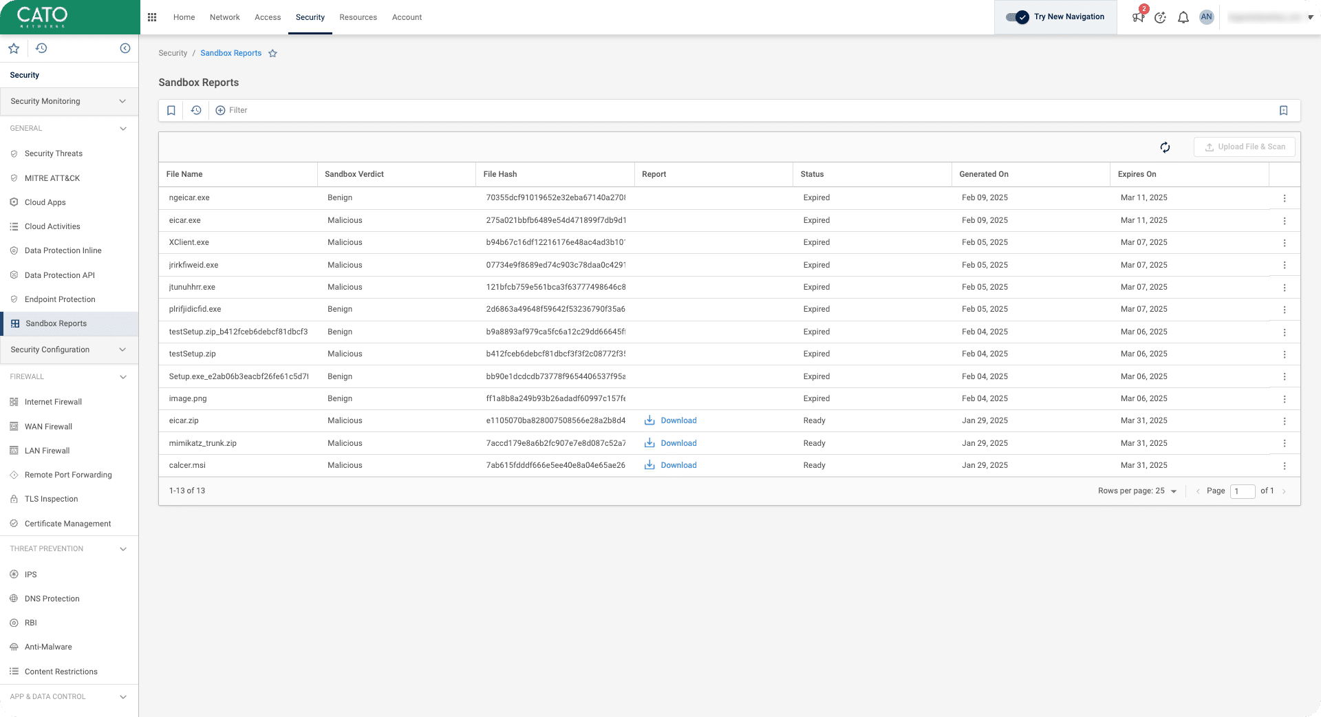 Sandbox_Reports_page