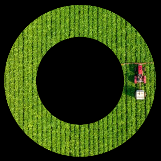 Agricultural imagery framed inside the Cato Ring